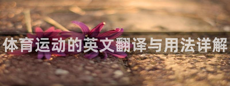 3377体育官网下载招商电话：体育运动的英文翻译与用