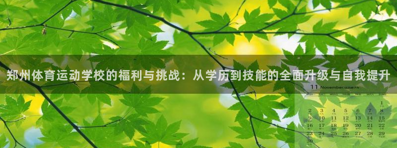3377体育官方正版app娱乐首页网站大全