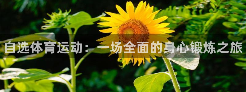3377体育官网下载平台APP：自选体育运动：一场全面的身心