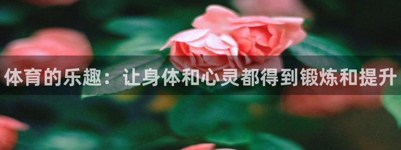 3377体育官网下载招商电话号码是多少