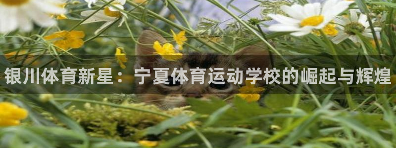 3377体育官网下载招商电话地址查询