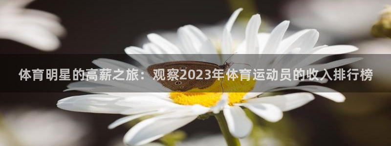 3377体育官方正版app官网：体育明星的高薪之旅：观察20