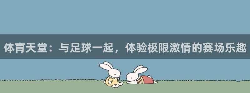 3377体育官网下载平台注册流程图：体育天堂：与足球一起，体