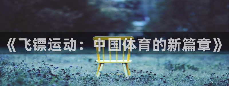 3377体育官方正版app集团：《飞镖运动：中国体育的新篇章