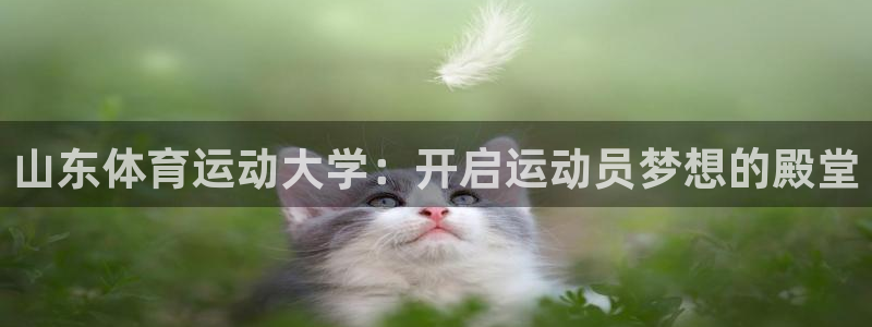 3377体育官方正版app集团简介：山东体育运动大学