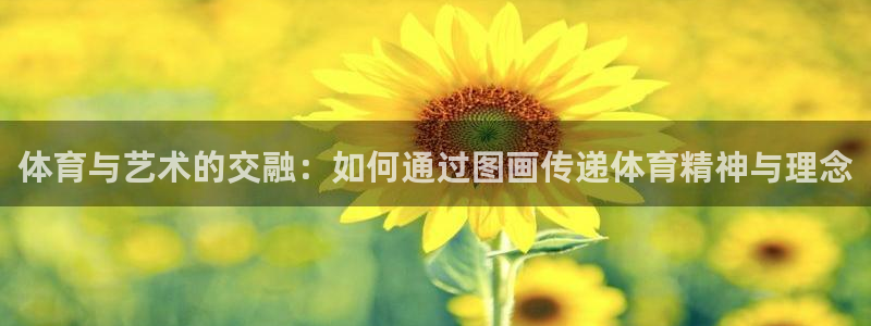 3377体育官方正版app娱乐：体育与艺术的交融：如