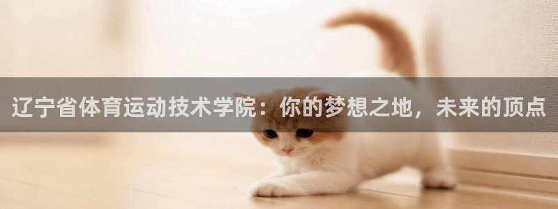 3377体育官网下载平台注册要钱吗安全吗：辽宁省体育
