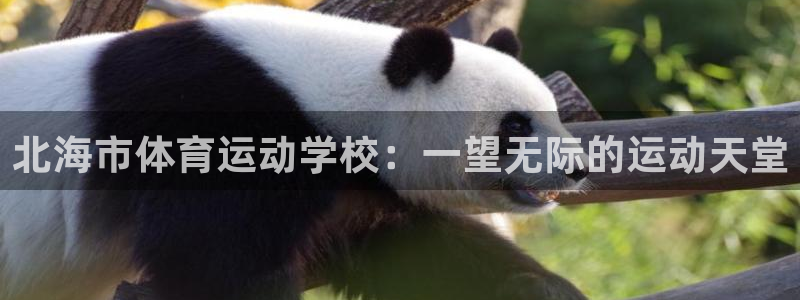 3377体育官网下载注册：北海市体育运动学校：一望无