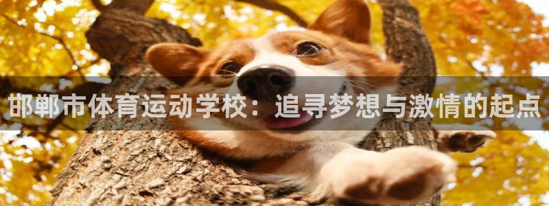 3377体育官方正版app官方：邯郸市体育运动学校：