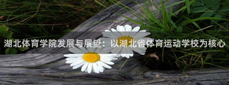海南3377体育官网下载发展怎么样：湖北体育学院发展