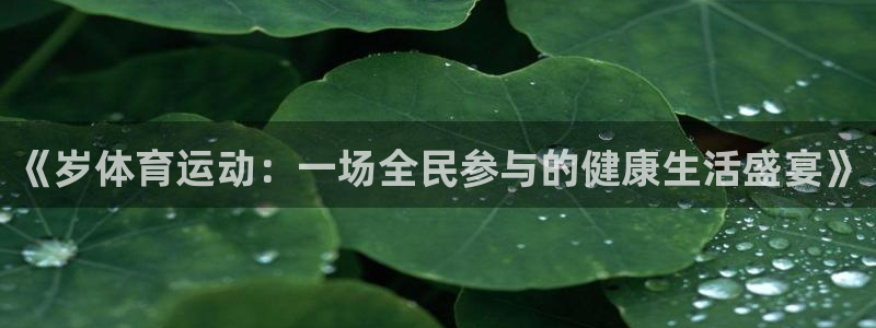 3377体育官方正版app官方：《岁体育运动：一场全