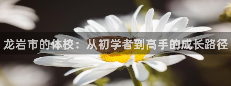 3377体育官网下载平台假的吗是真的吗吗：龙岩市的体