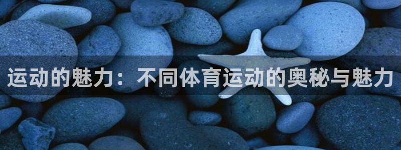 3377体育官方正版app集团官网首页：运动的魅力：