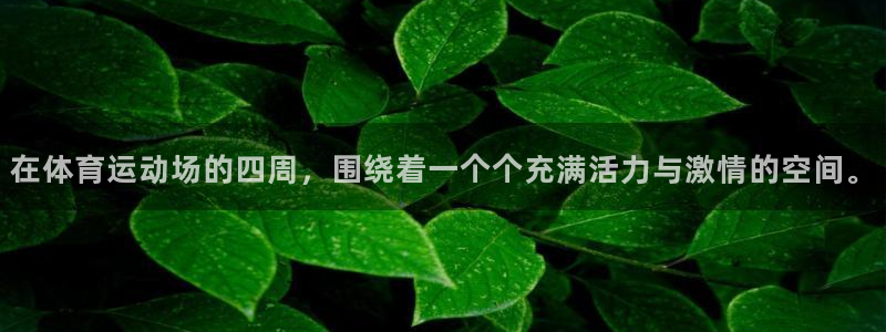 3377体育官方正版app官方：在体育运动场的四周，
