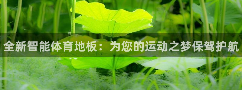 海南3377体育官网下载发展怎么样