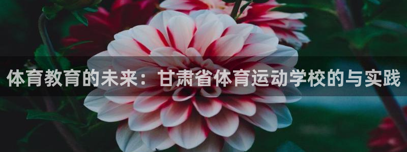 3377体育官网下载平台是正规平台吗安全吗：体育教育的未来：