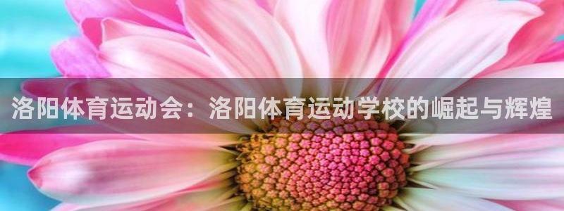 3377体育官网下载招商电话号码是多少啊
