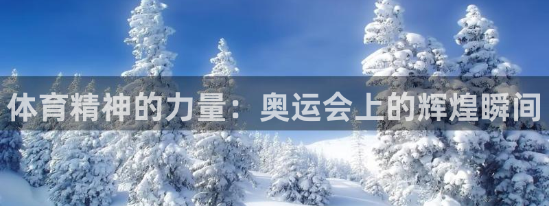 3377体育官方正版app娱乐平台：体育精神的力量：