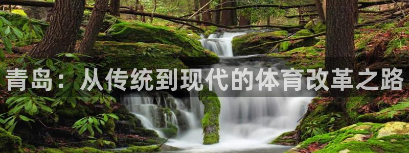 3377体育官网下载招商电话号码查询是多少