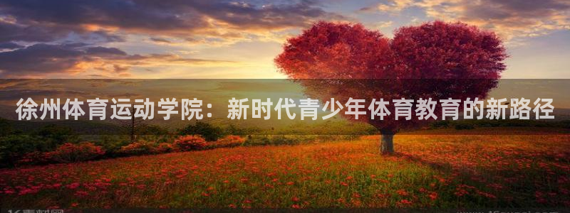 3377体育官方正版app官网：徐州体育运动学院：新时代青少