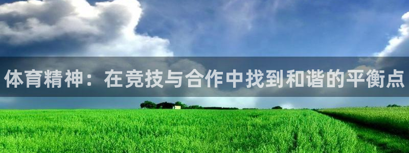 3377体育官方平台体育：体育精神：在竞技与合作中找