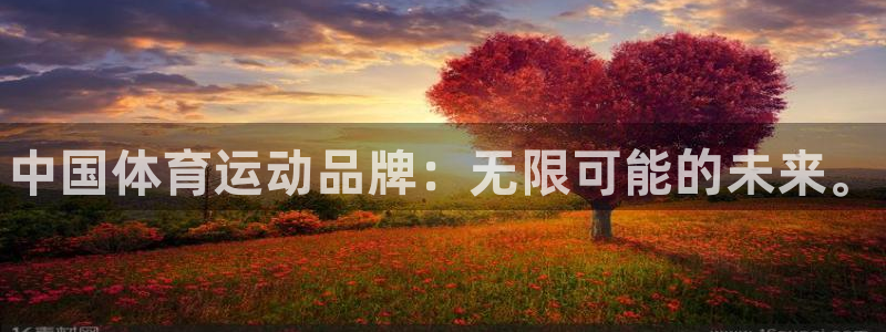 3377体育官方正版app五金厂：中国体育运动品牌：无限可能