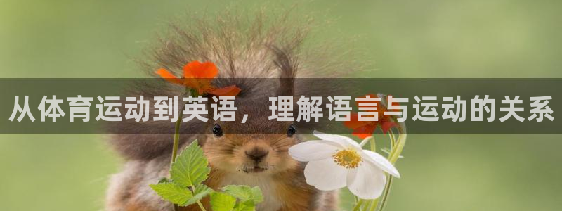 3377体育官网下载平台注册流程图：从体育运动到英语