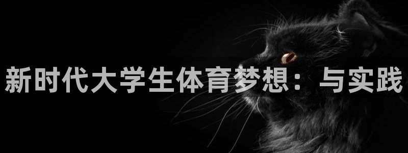 3377体育官方正版app娱乐