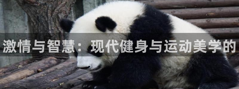 海南3377体育官网下载：激情与智慧：现代健身与运动美学的