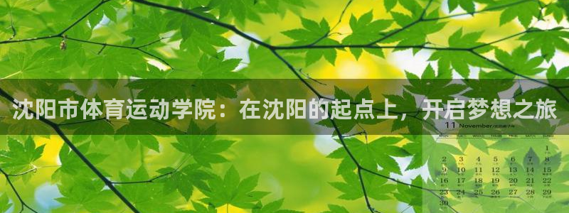 3377体育官方正版app集团E.ON：沈阳市体育运动学院：