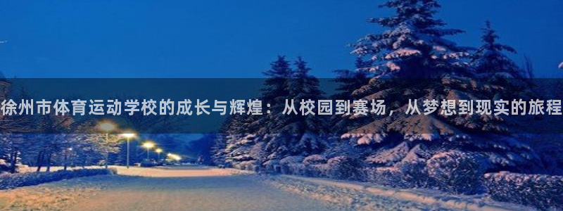 3377体育官方正版app新能源：徐州市体育运动学校