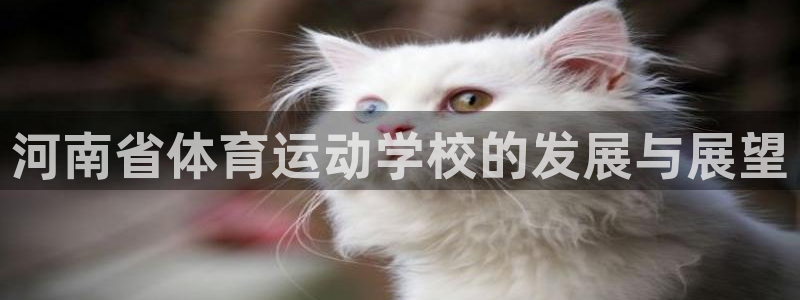 3377体育官方正版app集团logo：河南省体育运