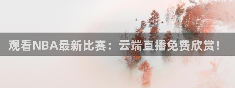 雨燕360体育nba季前赛：观看NBA最新比赛：云端直播免费欣赏！