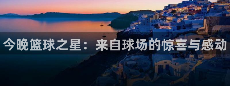 雨燕足球直播免费：今晚篮球之星：来自球场的惊喜与感动