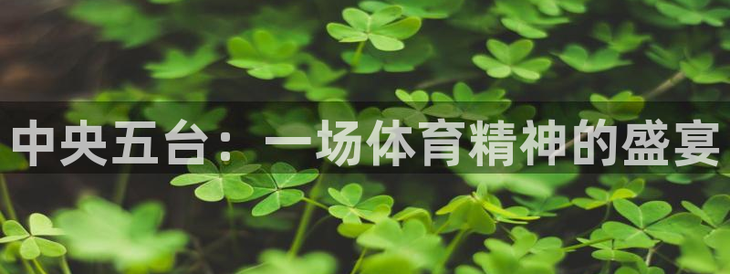 山猫足球直播雨燕直播：中央五台：一场体育精神的盛宴