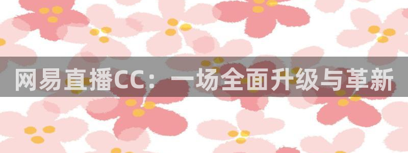 雨燕直播在线看球：网易直播CC：一场全面升级与革新