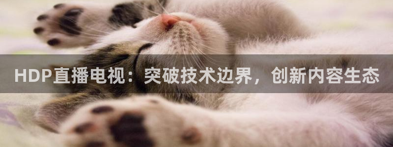 新雨燕足球直播平台：HDP直播电视：突破技术边界，创新内容生态