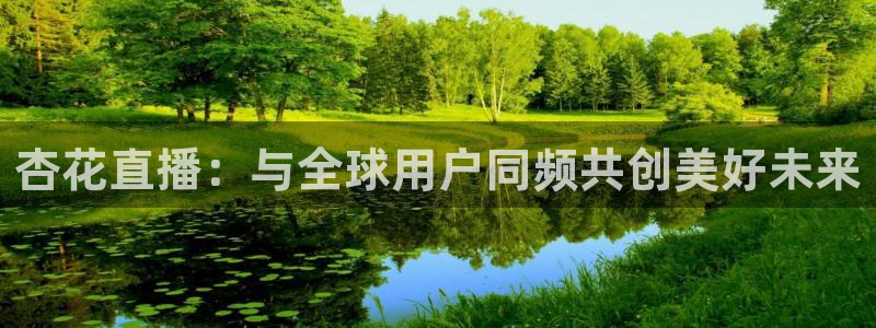 直播雨燕体育：杏花直播：与全球用户同频共创美好未来