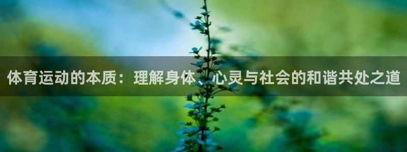 3377体育官网址：体育运动的本质：理解身体、心灵与社会的和