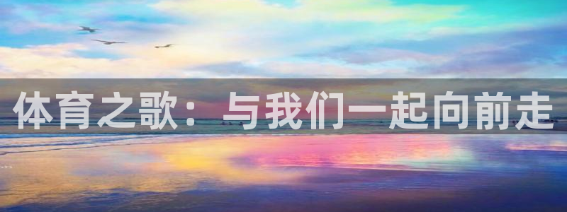 3377体育骗了多少人
