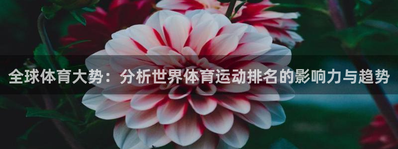 3377体育能爆吗
