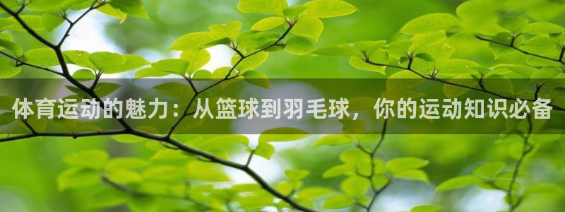 3377体育现在叫什么