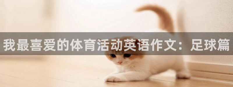 3377体育中国官方网站入口：我最喜爱的体育活动英语作文：足