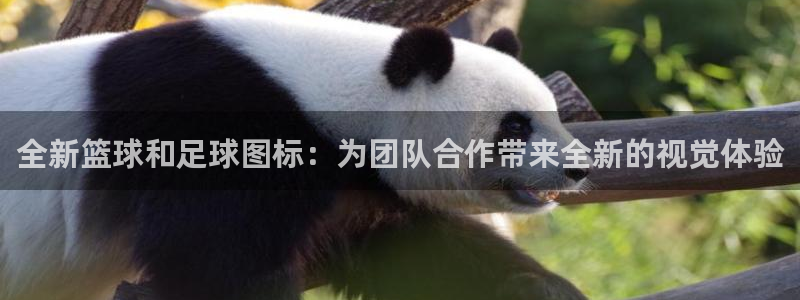 3377体育退款：全新篮球和足球图标：为团队合作带来全新的视