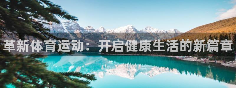  3377体育十大必吃榜：革新体育运动：开启健康生活的新篇章
