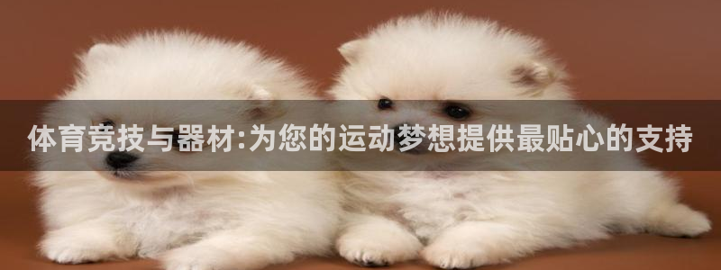  3377体育app官网下载地址：体育竞技与器材:为您的运动梦