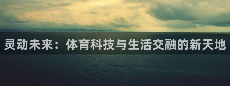 3377体育最害怕三个东西：灵动未来：体育科技与生活交融的新