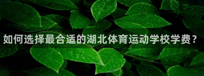 3377体育官网：如何选择最合适的湖北体育运动学校学费？