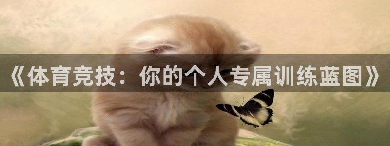  3377体育为什么提不出来：《体育竞技：你的个人专属训练蓝图
