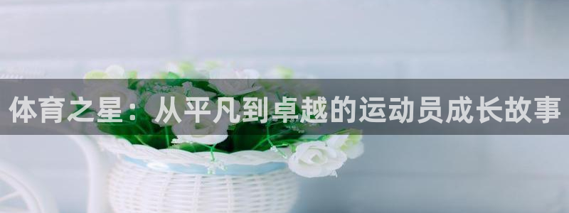  3377体育是什么：体育之星：从平凡到卓越的运动员成长故事